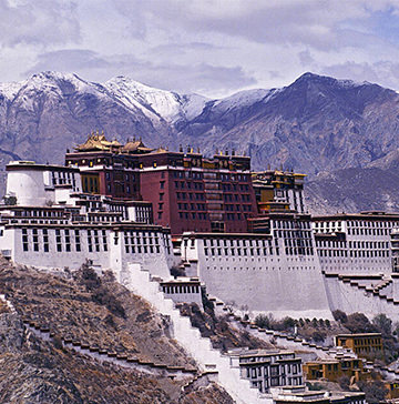 lhasa