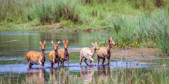 Yacca Travel and Tours