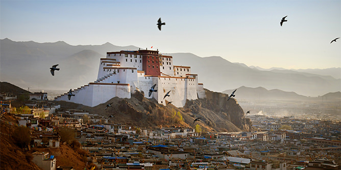 Yacca Travel and Tours