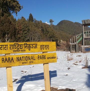 Rara