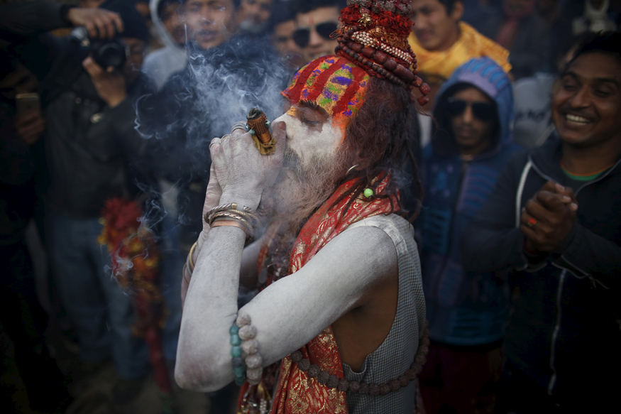 maha shivaratri pot smoking